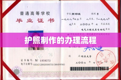攀枝花护照制作的办理流程